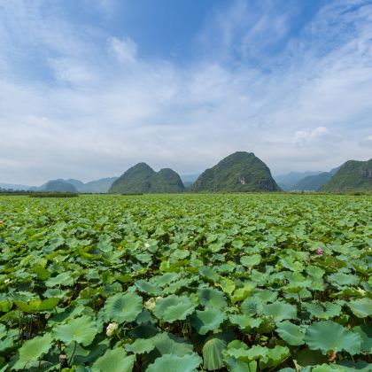 昆明+抚仙湖+建水+蒙自+普者黑风景区+弥勒6日5晚拼小团