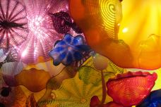 奇胡利玻璃艺术园-西雅图-doris圈圈