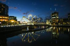 雅拉河-南岸-doris圈圈