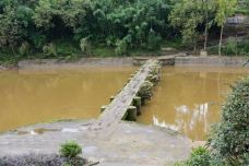 龙脑桥-泸县-蟋蟀老爹