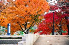 平等院-宇治市-doris圈圈