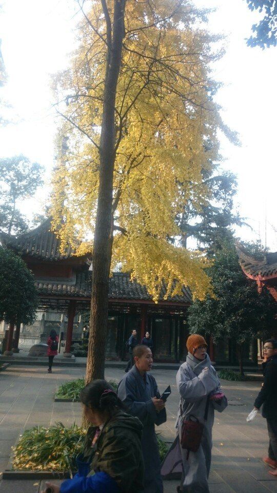 文殊院