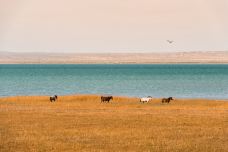 甘肃尕海则岔自然保护区-尕海湖-碌曲-doris圈圈