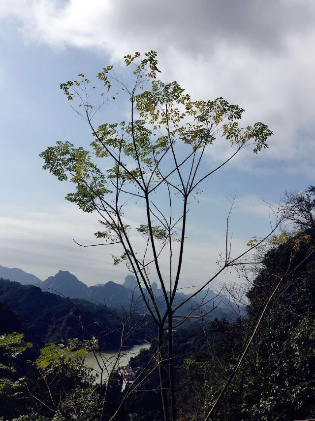단샤산(단하산)