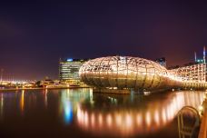 雅拉河-南岸-是条胳膊