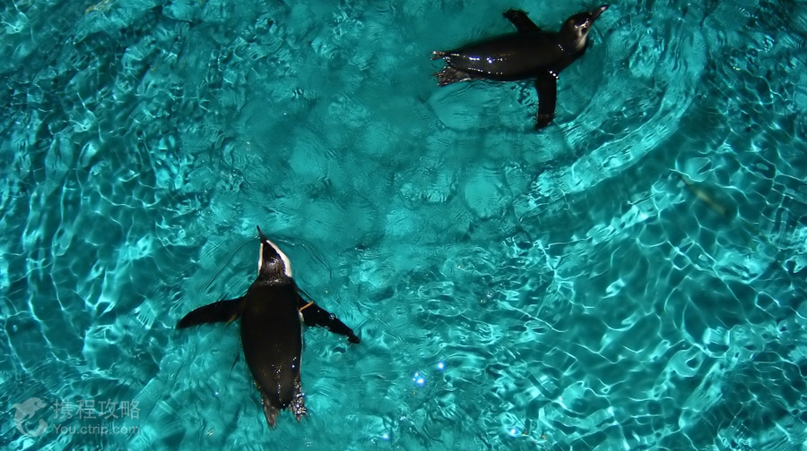 New England Aquarium