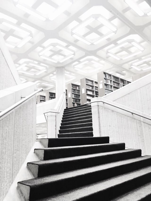 The University of Chicago