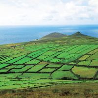丁格尔图片