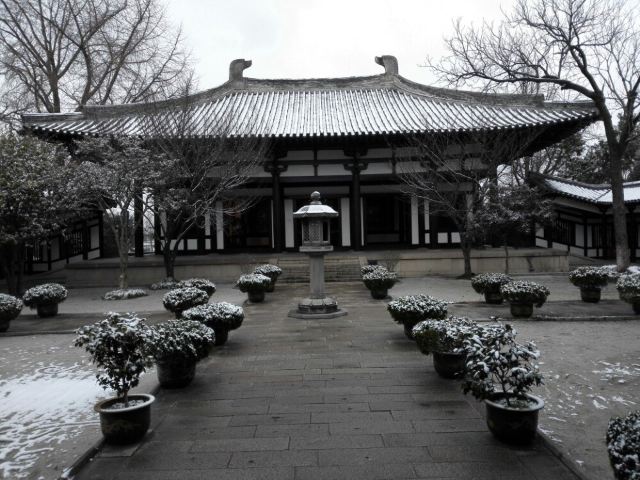 대명사