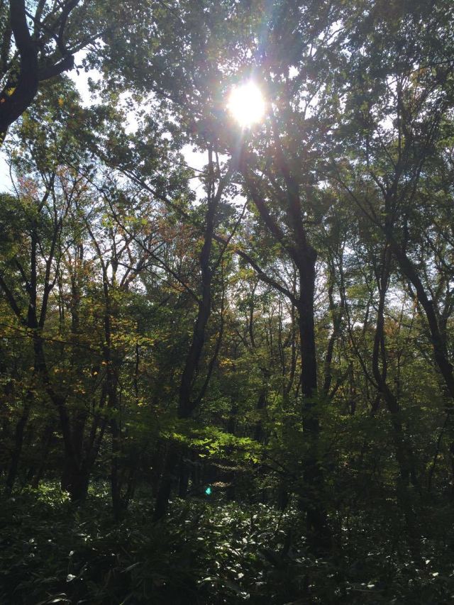 한라산 국립공원