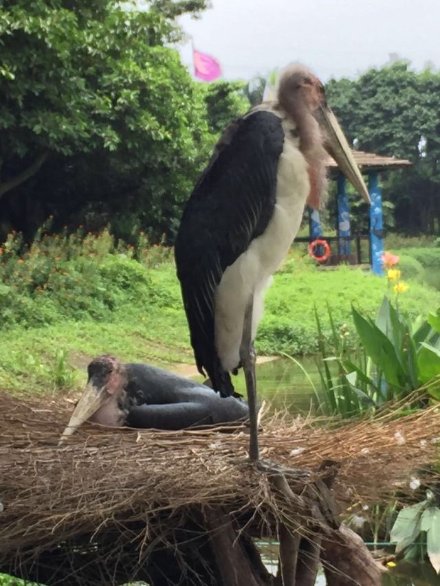 Chimelong Bird Park