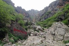 阿坝州纳摩大峡谷-若尔盖-走走-74511940