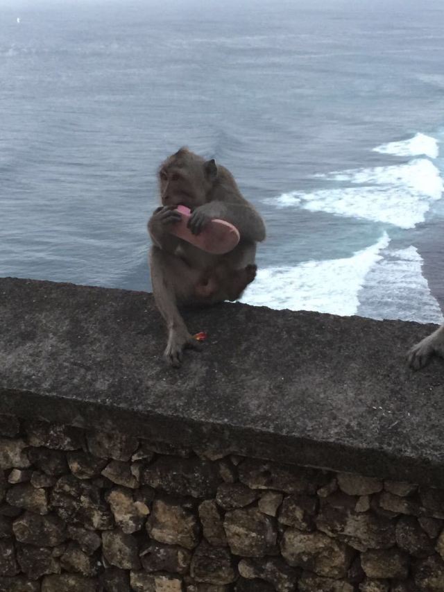 울루와뚜 절벽사원