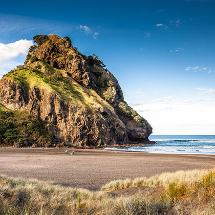 新西兰奥克兰庞森比+奥克兰大学+德文波特+皮哈海滩一日游