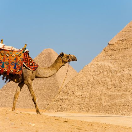 埃及开罗省开罗胡夫金字塔+左塞尔金字塔+孟菲斯博物馆一日游