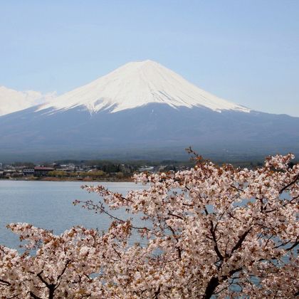 日本东京河口湖+富士山五合目一日游
