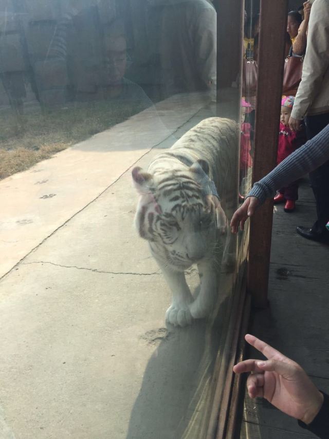 龍沙動植物園