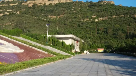 獅腦山森林公園