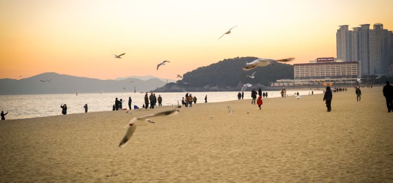 Haeundae Tickets Deals Reviews Family Holidays Tripcom