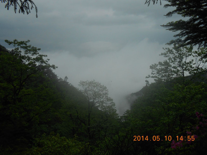 一山飞峙大江边-登庐山