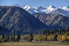 库尔德宁景区-巩留-doris圈圈