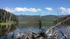 彩虹桥-婺源-5102404