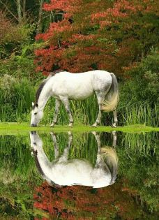 南戴河-秦皇岛-_WeCh****96288