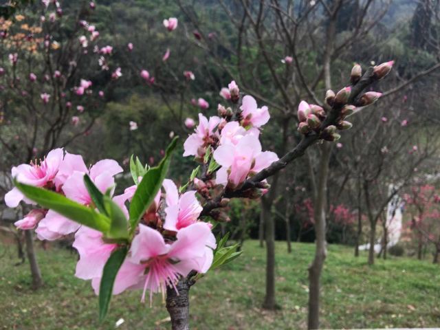 Baiyun Mountain