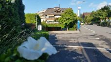 西庸城堡-韦托-金币浪子