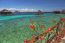 锡帕丹岛-斗湖-doris圈圈