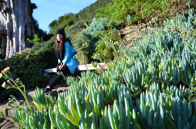 Larnach Castle
