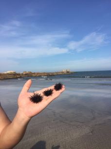 红海湾遮浪角-汕尾-随意