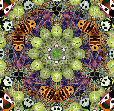 KickArts Contemporary Arts