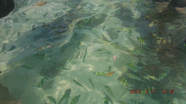 Koh Khai Nok
