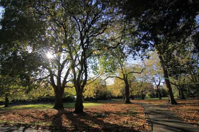 St. Stephen's Green