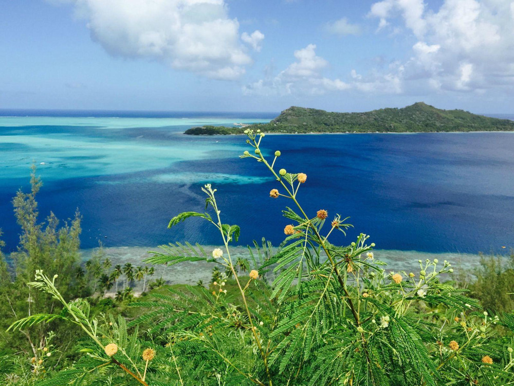 Bling Bling Tahiti Bora Bora 上 大溪地游记攻略 携程攻略