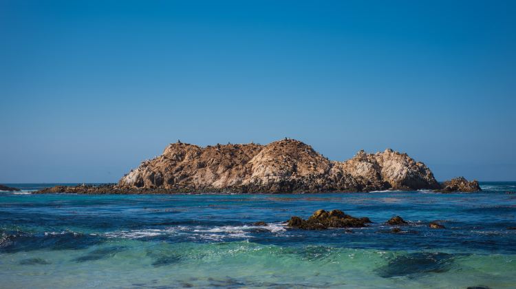 9-Day Enchanting West Coast Tour from Los Angeles · Yellowstone, Lake Tahoe, Lower Antelope Canyon and Grand Canyon