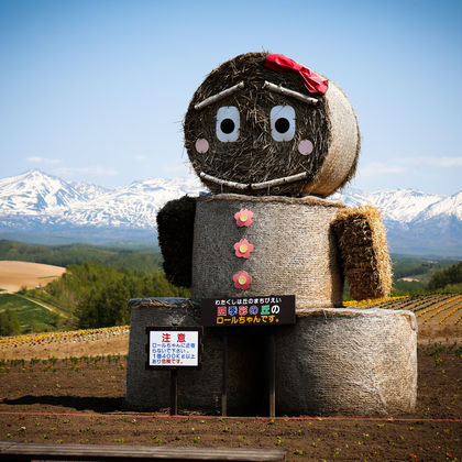 北海道札幌+富良野+美瑛町+森林精灵阳台一日游