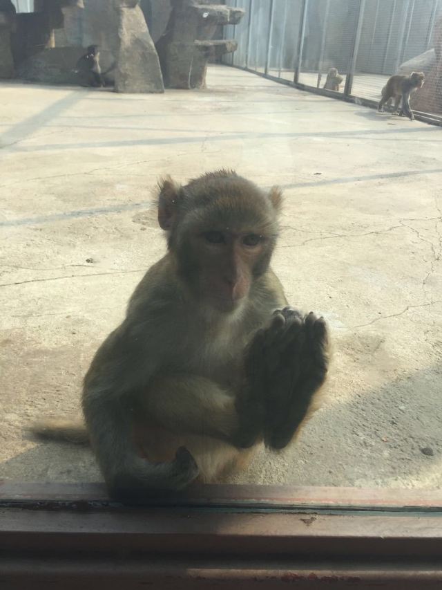 龍沙動植物園