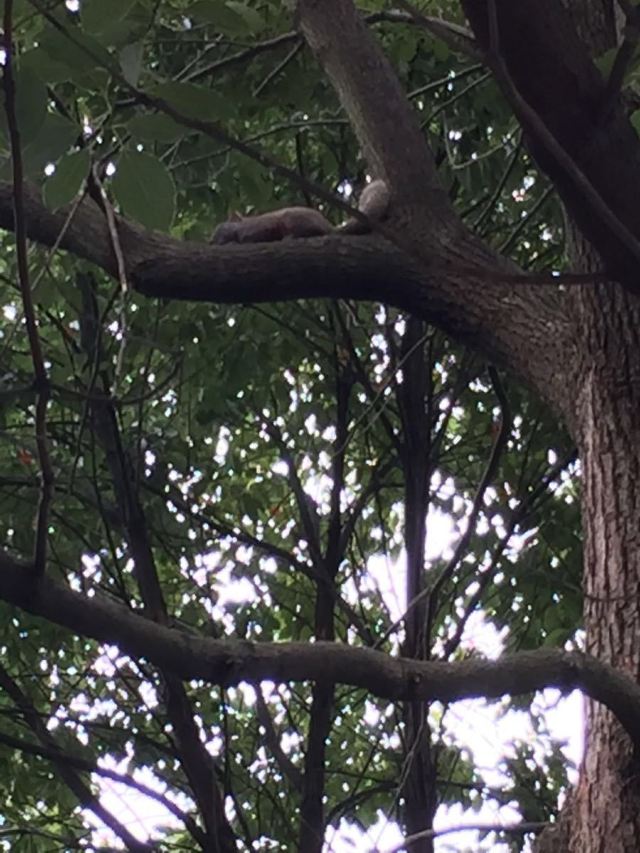 천하옥원