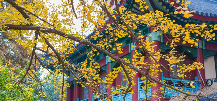 Nanjing Normal University Travel Guidebook Must Visit