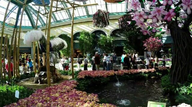 Bellagio Conservatory and Botanical Gardens