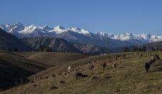 库尔德宁景区-巩留-doris圈圈