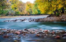 库尔德宁景区-巩留-doris圈圈