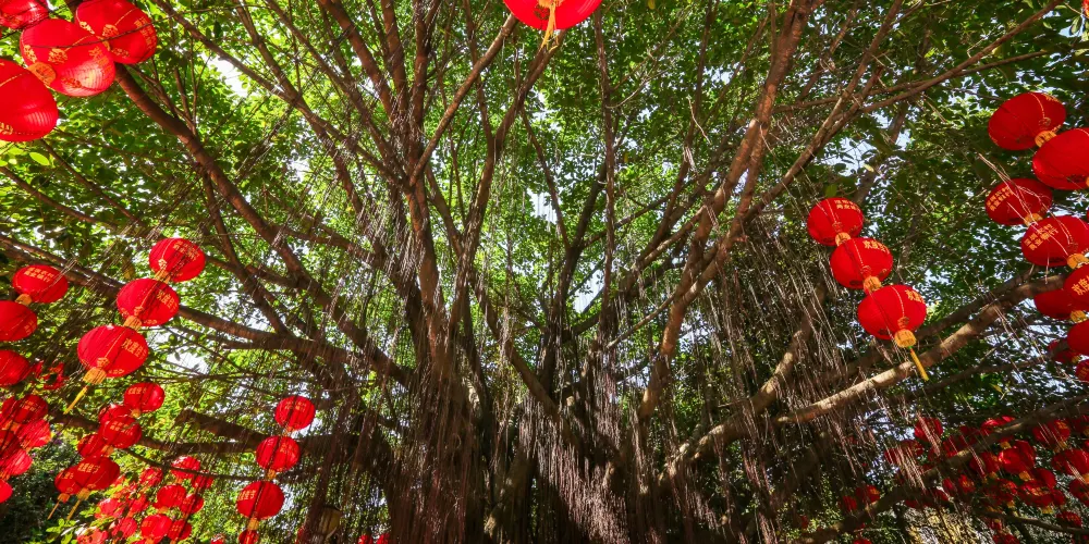 永安旅遊