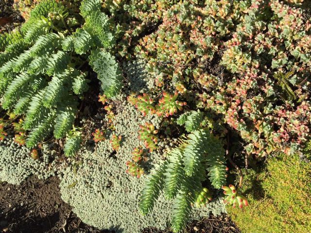 Larnach Castle