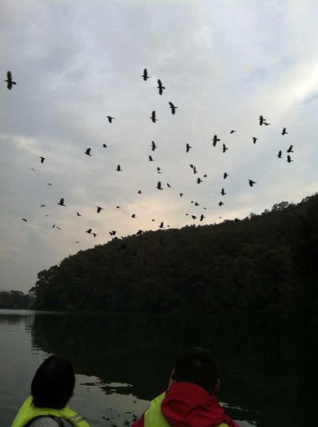 Phewa Lake