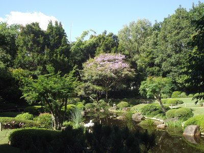 Brisbane Botanic Gardens Mt. Coot-tha