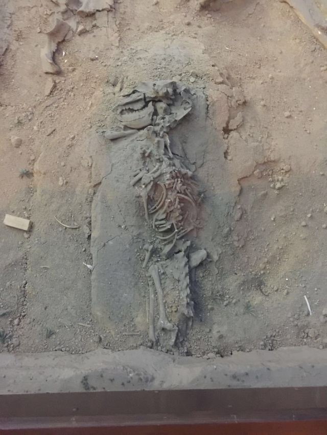 한단시박물관
