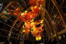 奇胡利玻璃艺术园-西雅图-doris圈圈